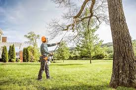 Best Tree Preservation Services  in Chualar, CA